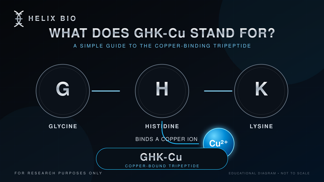 GHK-Cu copper peptide laboratory research guide by Helix Bio